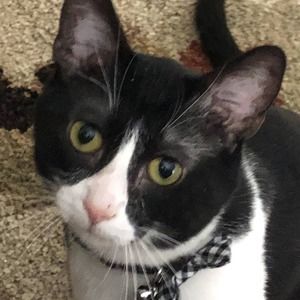 Meet your Posher, Vicky